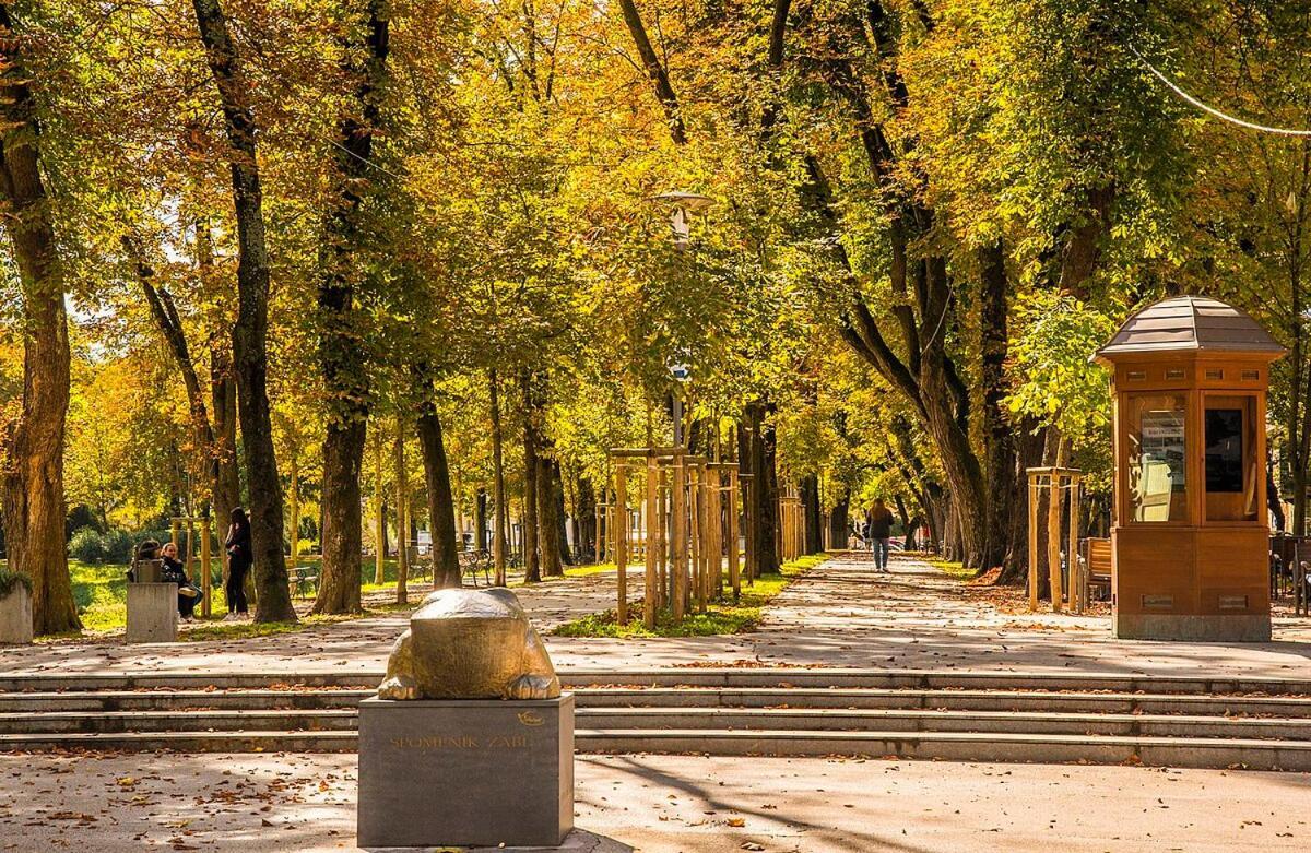 Centar 1 Apartman Károlyváros Kültér fotó